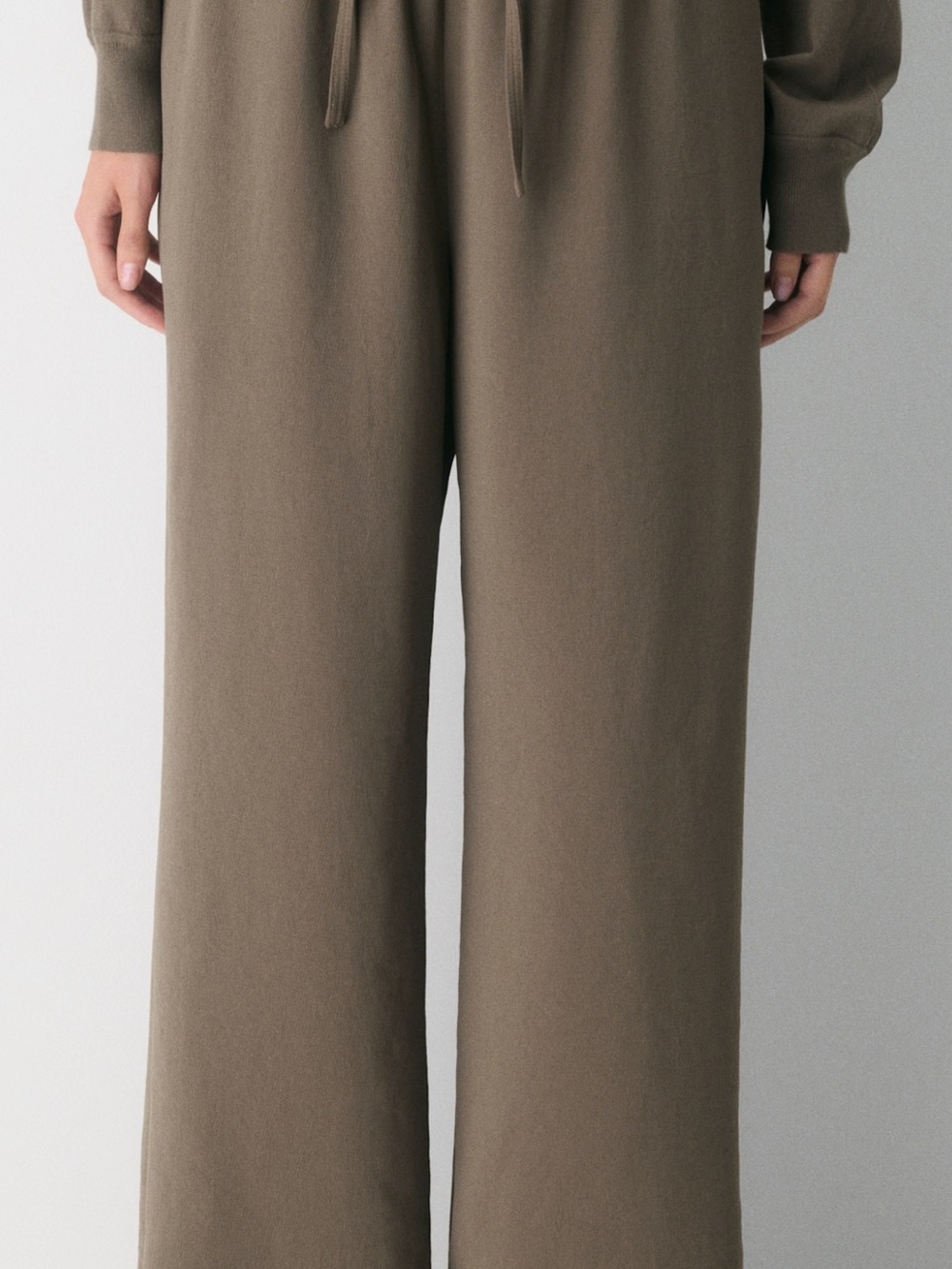 Aritzia Lodge Wide Leg Pants in Cola Taupe